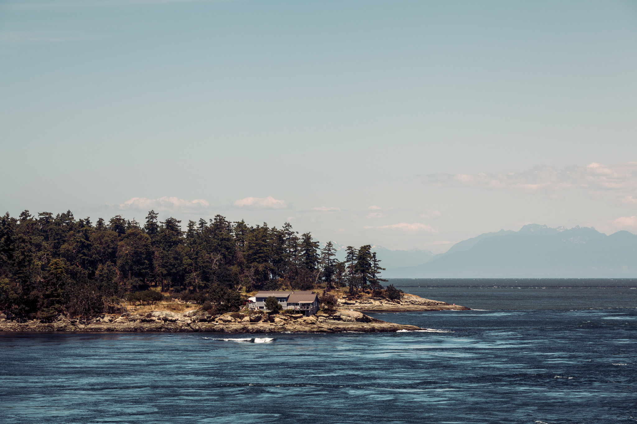IMG-0156.jpg