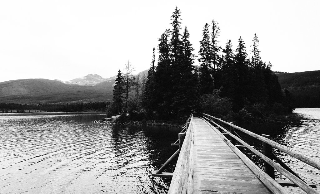 IMG-3566.jpg