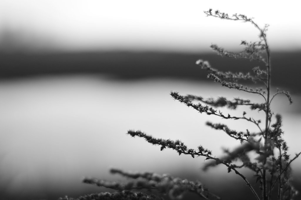 2009-12-28-14-27-38-edit.jpg
